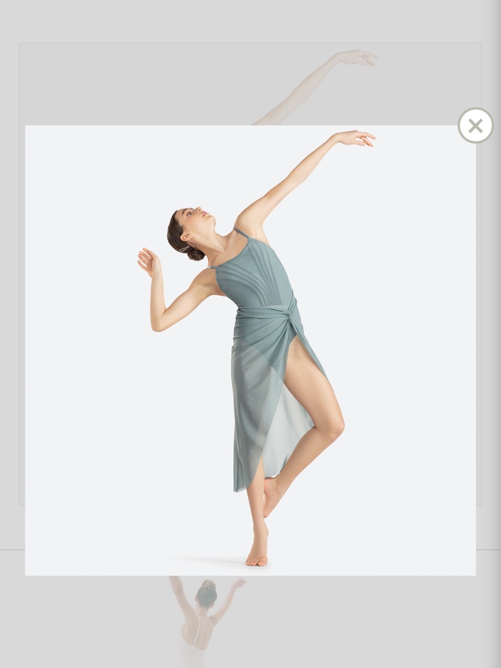 Revolution Dancewear sheer mesh lyrical/contemporary dance dress small adult